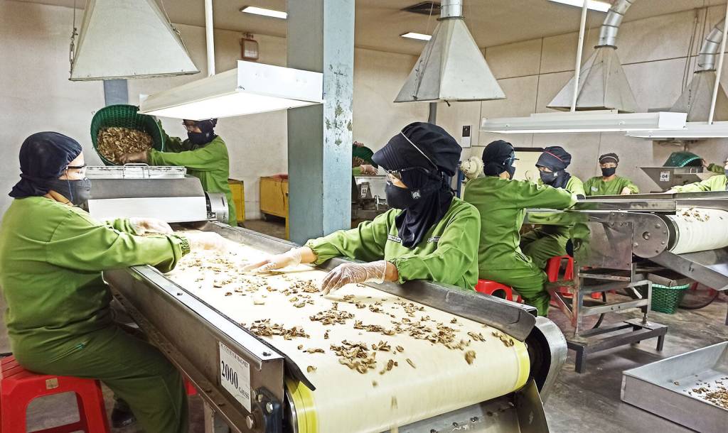 Sido Muncul (SIDO) Lebih Berenergi