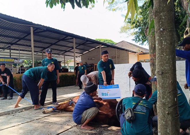 Unhasy Tebar Hewan Kurban untuk Karyawan hingga Warga Sekitar